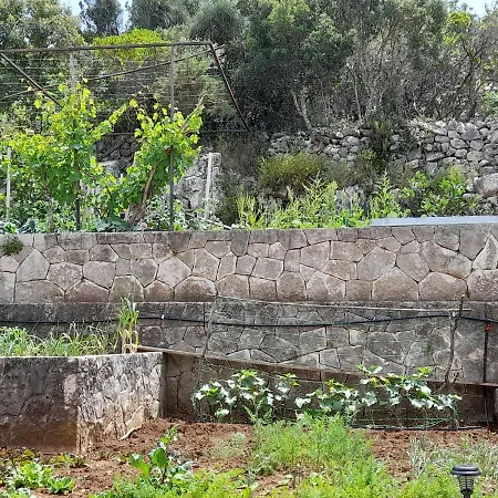 Maison d'hôtes Palma Polače